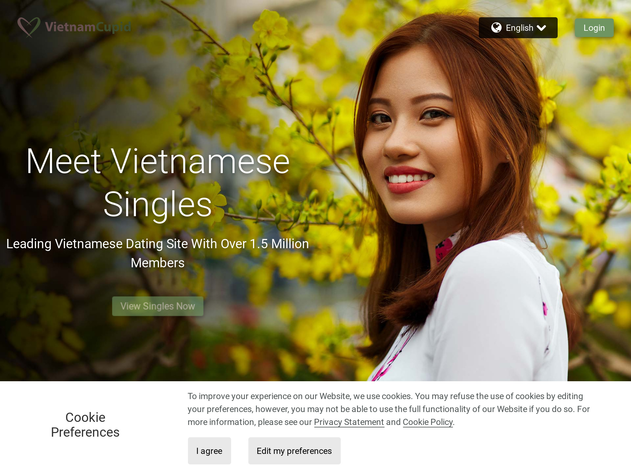 VietnamСupid Review 2023: una mirada honesta a lo que ofrece